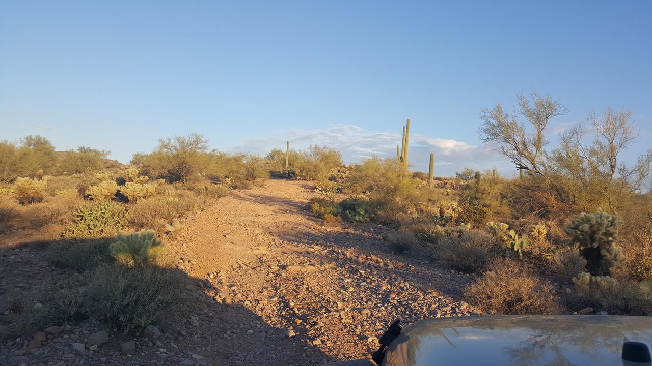 Along the Jeep Side Trail