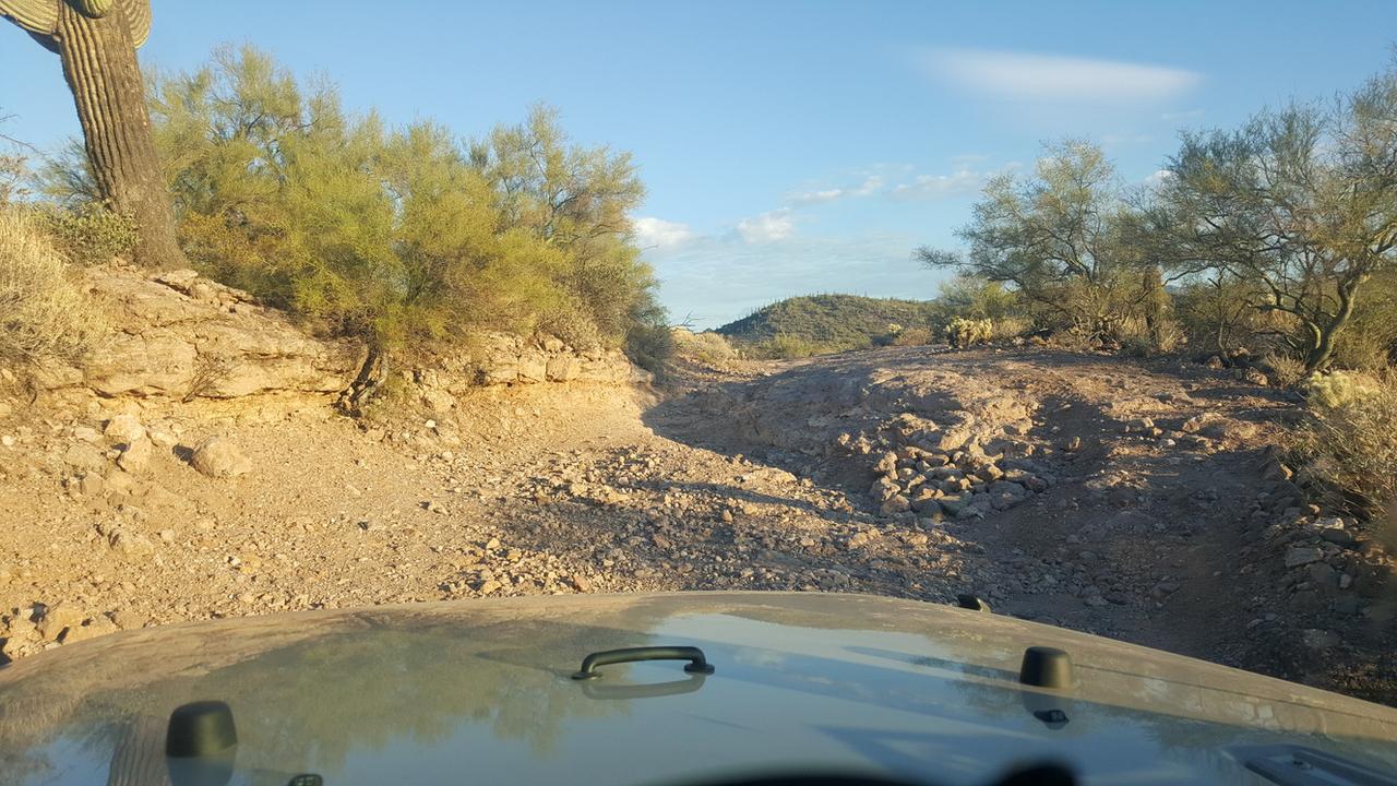 Along the Jeep Side Trail