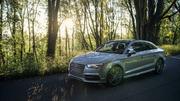 Audi s3 florett