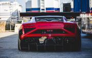 Red gallardo