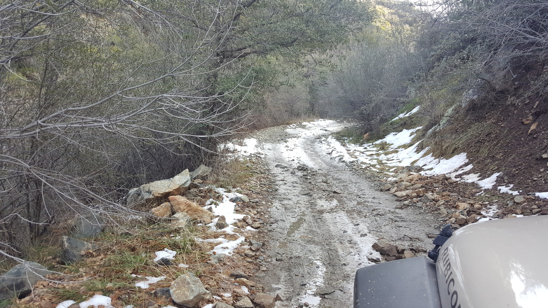 Snow on the Trail